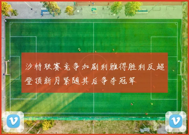 沙特联赛竞争加剧利雅得胜利反超登顶新月紧随其后争夺冠军