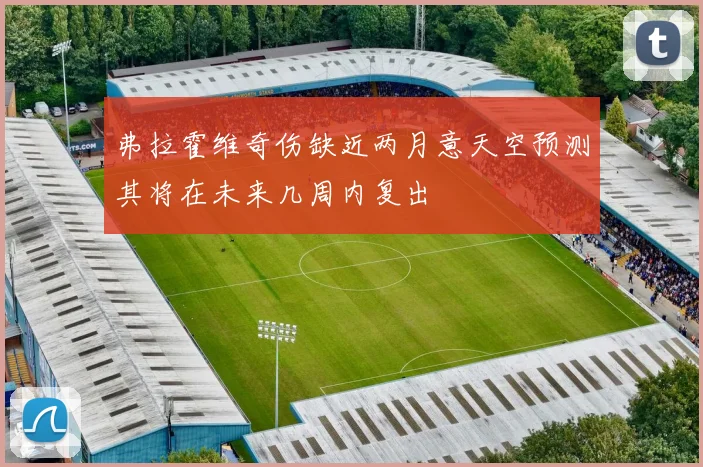 弗拉霍维奇伤缺近两月意天空预测其将在未来几周内复出